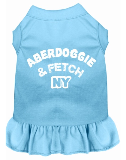 Aberdoggie NY Screen Print Dress Baby Blue 4X (22)