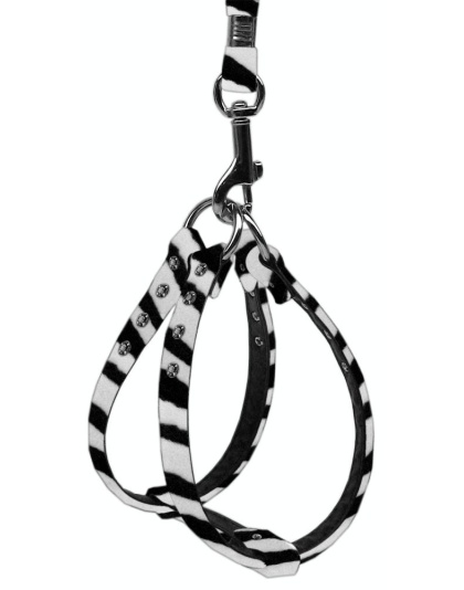 Animal Print Step In Harness Zebra 10