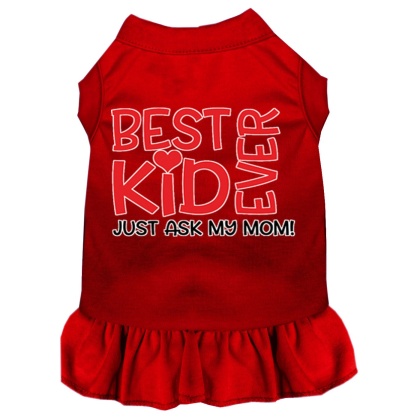 Ask My Mom Screen Print Dog Dress Red 4X (22)