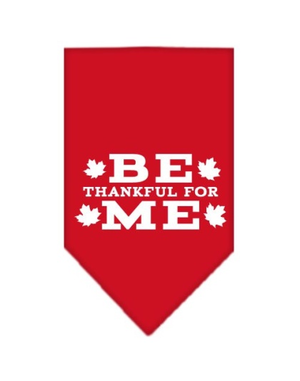 Be Thankful for Me Screen Print Bandana Red Large