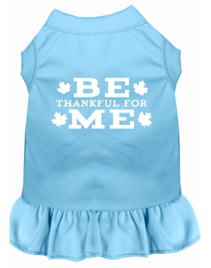 Be Thankful for Me Screen Print Dress Baby Blue 4X (22)