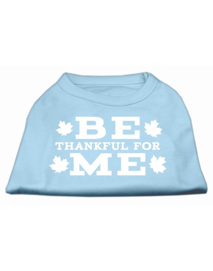 Be Thankful for Me Screen Print Shirt Baby Blue L
