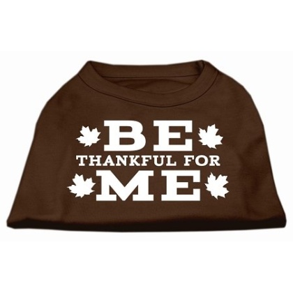 Be Thankful for Me Screen Print Shirt Brown Lg