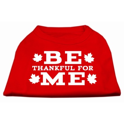 Be Thankful for Me Screen Print Shirt Red L