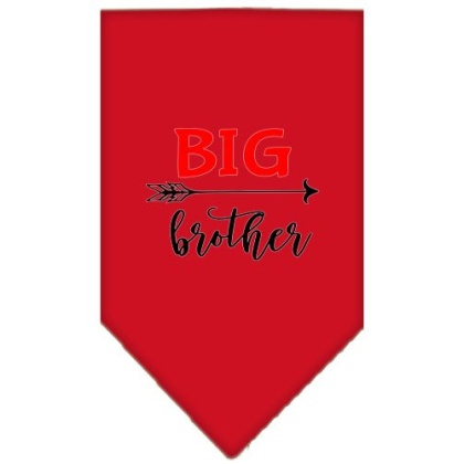 Big Brother Screen Print Bandana Red Large