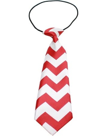 Big Dog Neck Tie Chevron Red