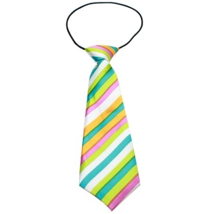 Big Dog Neck Tie Funky Stripes