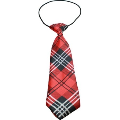 Big Dog Neck Tie Plaid Red