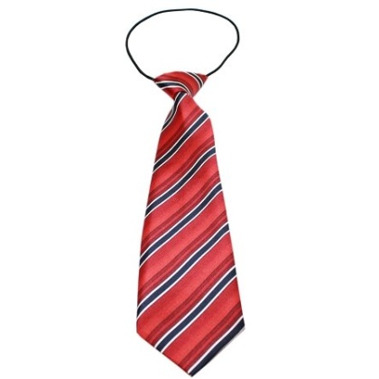 Big Dog Neck Tie Shades of Red