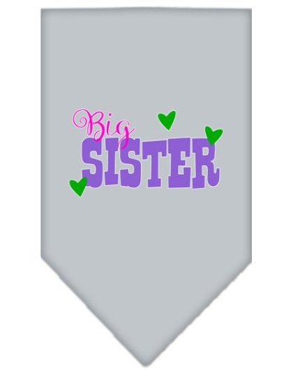 Big Sister Screen Print Bandana Grey Large