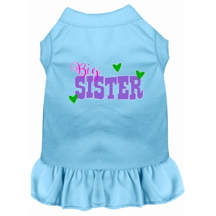 Big Sister Screen Print Dog Dress Baby Blue 4X