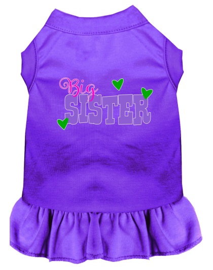 Big Sister Screen Print Dog Dress Purple 4X