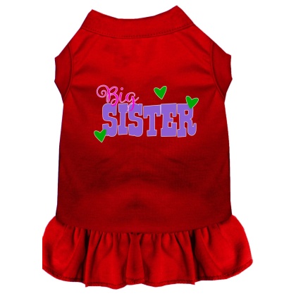 Big Sister Screen Print Dog Dress Red 4X