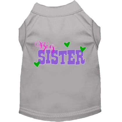 Big Sister Screen Print Dog Shirt Grey Lg