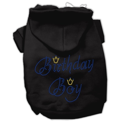 Birthday Boy Hoodies Black L