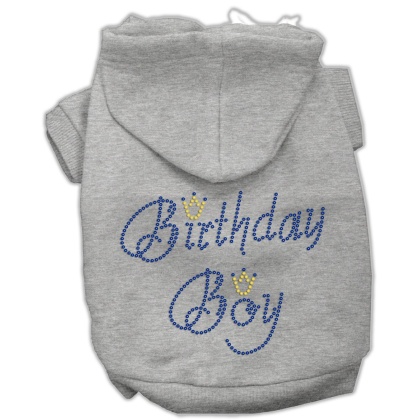 Birthday Boy Hoodies Grey L