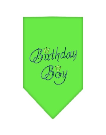 Birthday Boy Rhinestone Bandana Lime Green Large