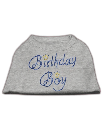 Birthday Boy Rhinestone Shirts Grey L