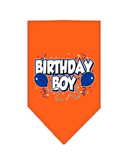 Birthday Boy Screen Print Bandana Orange Large