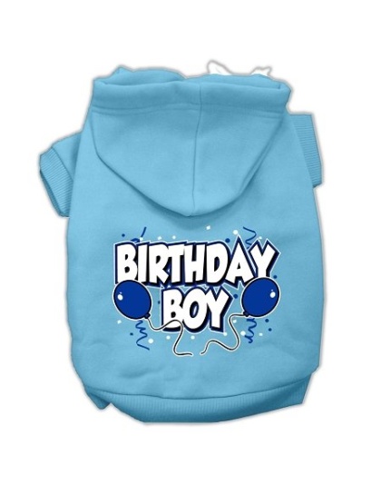 Birthday Boy Screen Print Pet Hoodies Baby Blue Size Lg