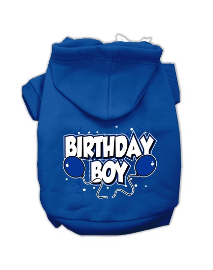 Birthday Boy Screen Print Pet Hoodies Blue Size Lg