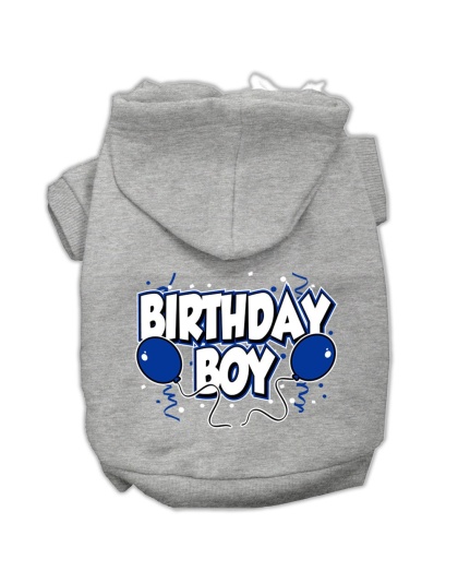 Birthday Boy Screen Print Pet Hoodies Grey Size Lg