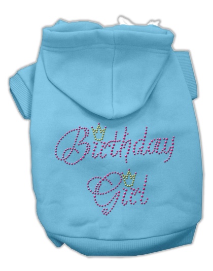 Birthday Girl Hoodies Baby Blue L