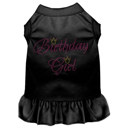 Birthday Girl Rhinestone Dress Black 4X