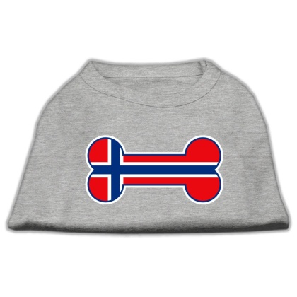 Bone Shaped Norway Flag Screen Print Shirts Grey L