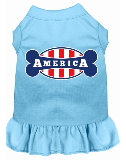 Bonely in America Screen Print Dress Baby Blue 4X (22)