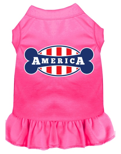 Bonely in America Screen Print Dress Bright Pink 4X (22)