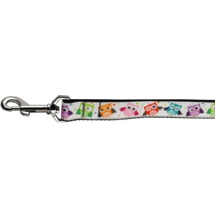 Bright Owls Nylon Ribbon Collars 1 wide 4ft Leash