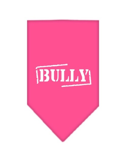 Bully Screen Print Bandana Bright Pink Large