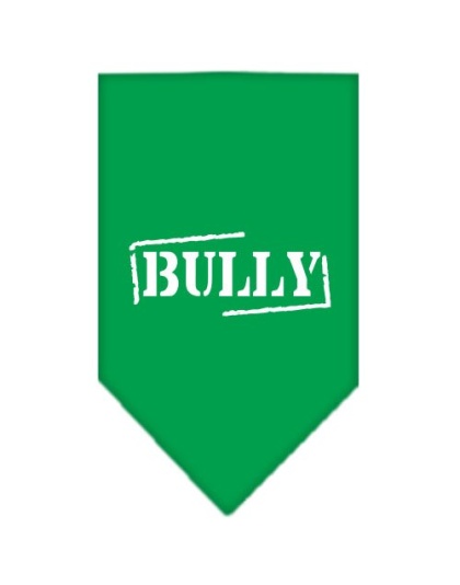 Bully Screen Print Bandana Emerald Green Large