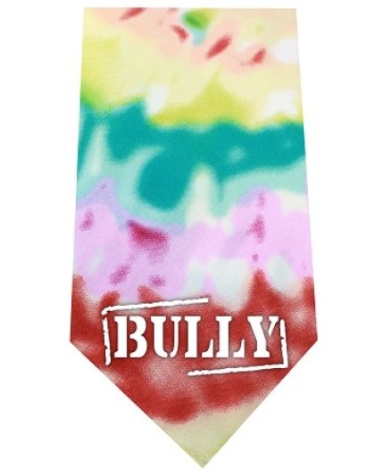 Bully Screen Print Bandana Tie Dye