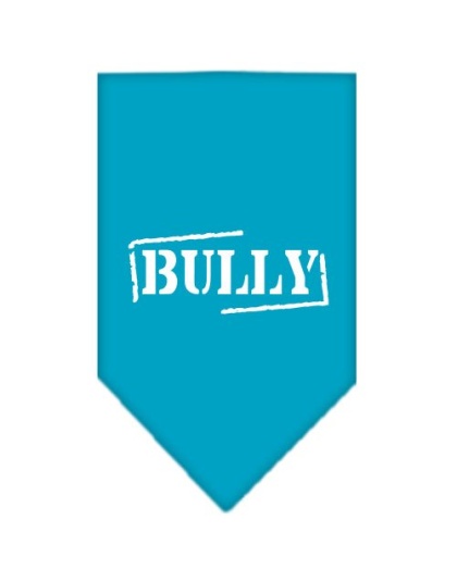 Bully Screen Print Bandana Turquoise Large