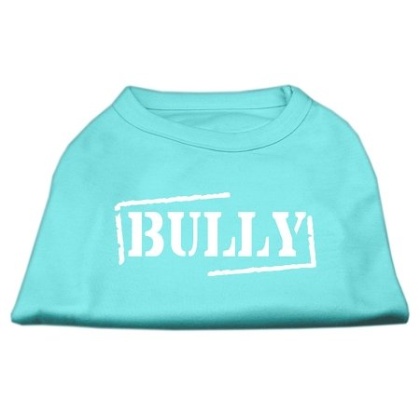 Bully Screen Printed Shirt Aqua Lg