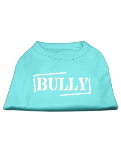 Bully Screen Printed Shirt Aqua Lg