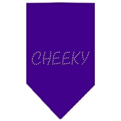 Cheeky Rhinestone Bandana Purple Large