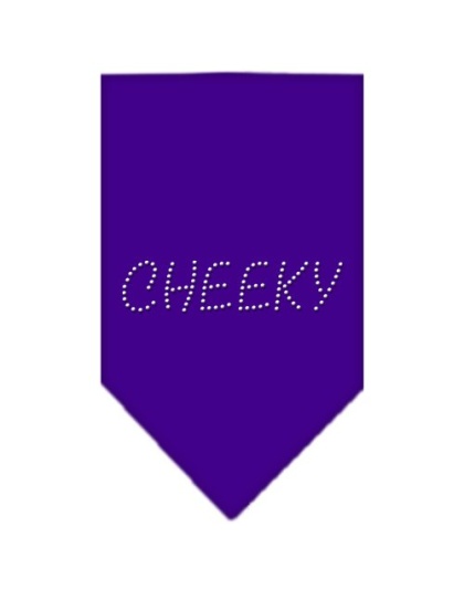 Cheeky Rhinestone Bandana Purple Large