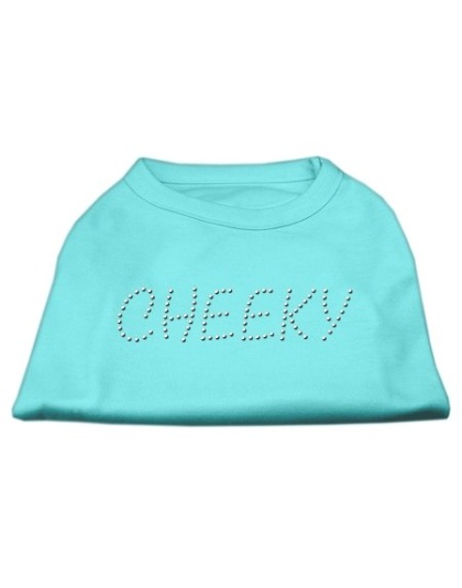 Cheeky Rhinestone Shirt Aqua L