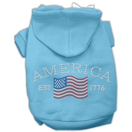 Classic American Hoodies Baby Blue L