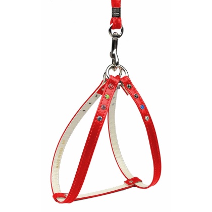 Confetti Step In Harness Red 10