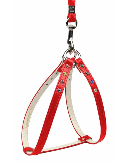 Confetti Step In Harness Red 10