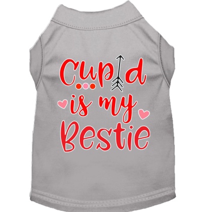 Cupid is my Bestie Screen Print Dog Shirt Grey Lg