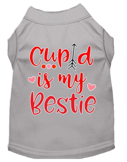 Cupid is my Bestie Screen Print Dog Shirt Grey Lg