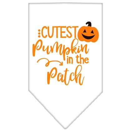 Cutest Pumpkin in the Patch Screen Print Bandana White Large