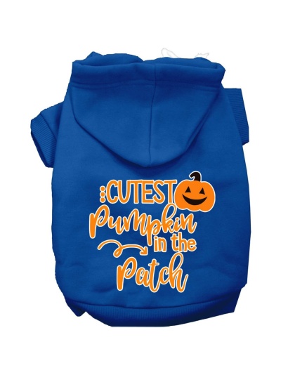Cutest Pumpkin in the Patch Screen Print Dog Hoodie Blue L