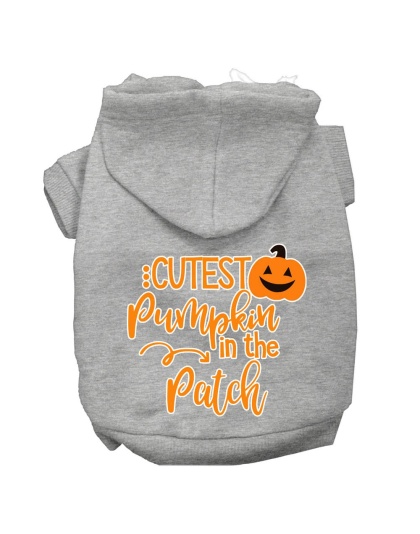 Cutest Pumpkin in the Patch Screen Print Dog Hoodie Grey L