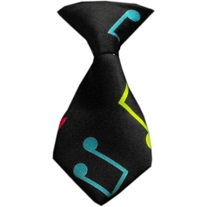 Dog Neck Tie Pop Music